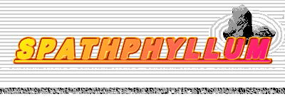 SPATHPHYLLUM